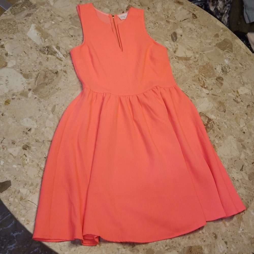 Everly Dress Size Large